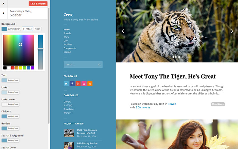 WordPress web design ted360